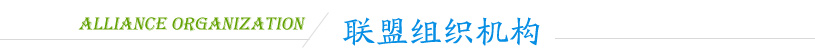 Alliance organization